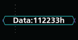 Data is shown in cyan boxes. Data values can be displayed in either hex or binary.