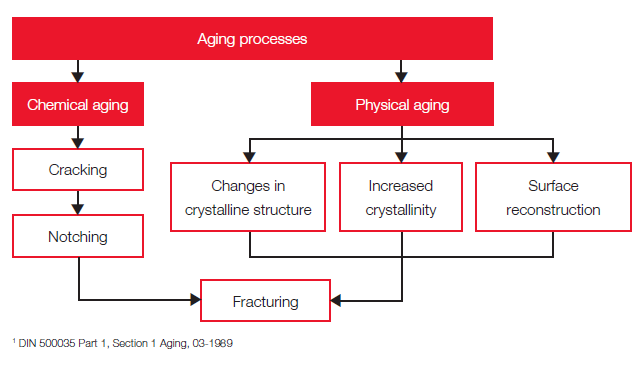 Ageing Processes - Binder